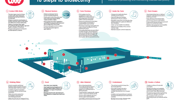 10StepsToBiosecurity