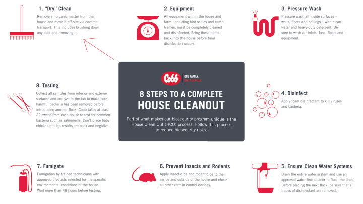 8 Steps to a Complete House CleanOut