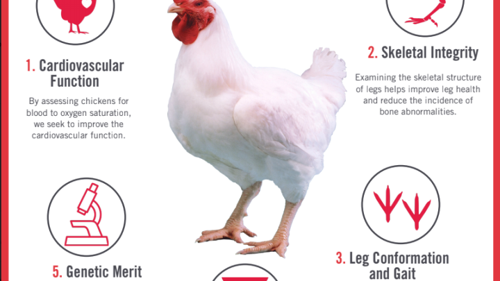 Genetic Trait Selection