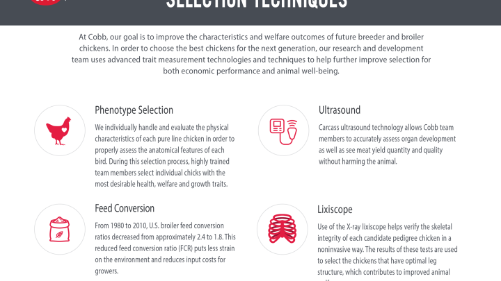 Selection Techniques