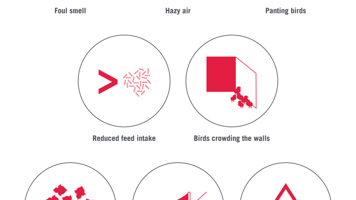 Warning Signs of Poor Ventilation