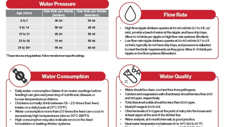 Nipple Drinker Guidelines 2024
