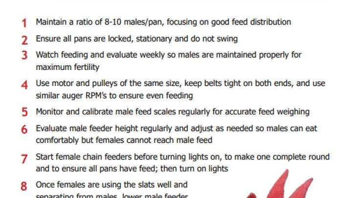 Top 10 male feeding practices